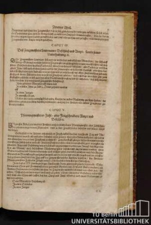Caput V. Pfennigmeisters-Zahl oder Zeugschreibers Ampt und Befelch.