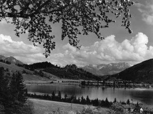 Frühling im Allgäu, Allgäuer Alpen, Großer Alpsee bei Immenstadt mit Grünten, Imberger Horn, Rotspitze und Daumen