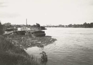 Dresden-Neustadt, Winterhafen der Weißen Flotte