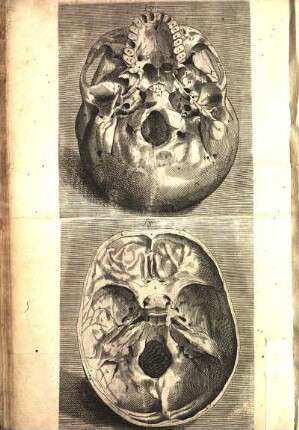 [Figuræ quatuor ad adulti hominis ossa pertinentes, cum indice ...]