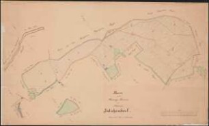 Karte von den Hütungsrevieren der Feldmark Zülichendorf