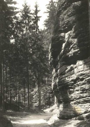 Uttewalder Grund bei Wehlen