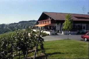 Kressbronn: Weingut Torggel , Haus im Weinberg