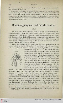 Bewegungsorgane und Muskelsystem