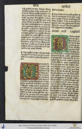 Die vorred über die epistel zuo den Corynthiern