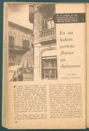 En un balcón porteño florece un duraznero