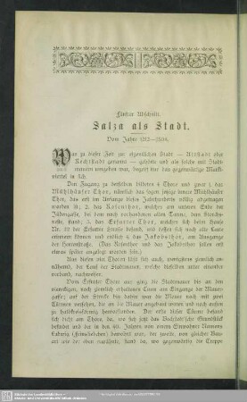 Fünfter Abschnitt. Salza als Stadt