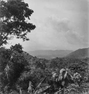 Gebirgslandschaft (Kamerunreise 1937)