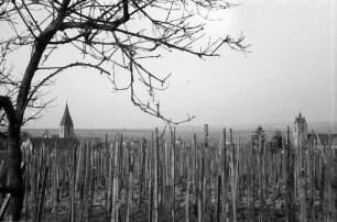 Endingen: Weinberg mit Türmen der Stadt