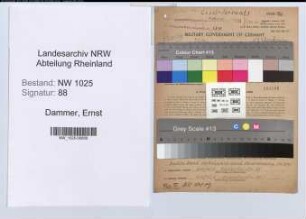 Entnazifizierung Ernst Dammer , geb. 05.06.1890 (Kunstmaler)