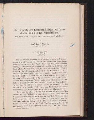 Die Elemente der Rumpfmuskulatur bei Cyclostomen und höheren Wirbelthieren