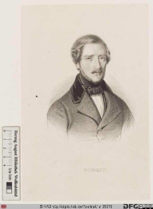 Bildnis (Domenico) Gaetano (Maria) Donizetti