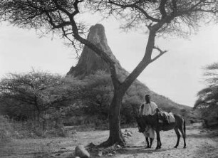 Amba Toquile : Blick auf den Amba Toquile, in der Hasamo Ebene in Eritrea