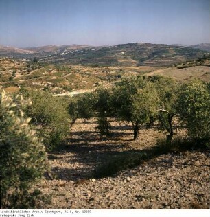 Israel: Samaria