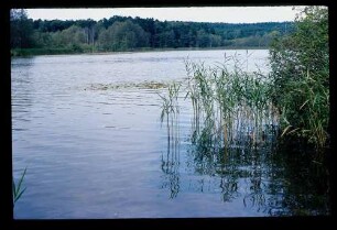 Dagow-See 18.8.80.