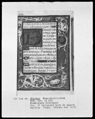 Flämisches Gebetbuch mit Kalender — Initiale D(omine) und Bordüre, Folio 37recto