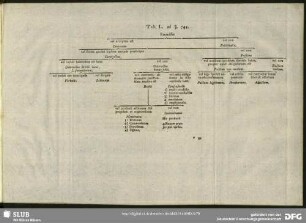 Tab. L. ad §. 745