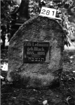 Grabstein 281 (Index: 100091573) Material: Granit, Schriftplatte poliert Zustand: gut Maße HxBxT: 73x56x30 cm Beschreibung: felsblockhafte Stele mit aufgesetzter Schriftplatte: Grabstein 281