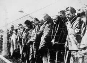 Häftlinge im befreiten Konzentrationslager Auschwitz