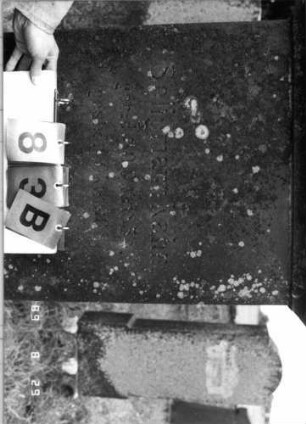 Grabstein 83 (Index: 100108200) Material: roter Sandstein Zustand: leicht verwittert Maße HxBxT: 170x62x30 cm Beschreibung: Stele mit Giebelaufsatz, Seitenakroterien und Mittelpalmette, getreppter Sockel: Grabstein 83B