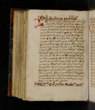 Exemplum de amicitia pulchrum