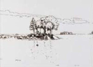 Die Insel (1995)