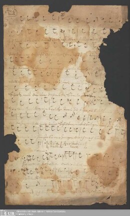 Ms. Ff. Mus. 162 - Palmarum