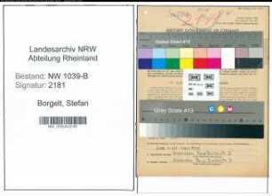 Entnazifizierung Stefan Borgelt , geb. 28.01.1888 (Maler)