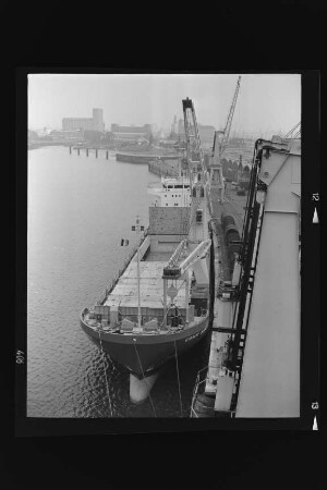 Conti Almania (1983), Frachtschiff, Contimar Line GmbH & Co. KG, Hamburg, Bau-Nr. 936