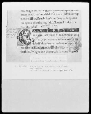 Psalter aus Werden — Initialen E (xaudi), Folio 8verso