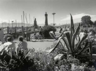 Sommerliches Hafenbild in Lindau