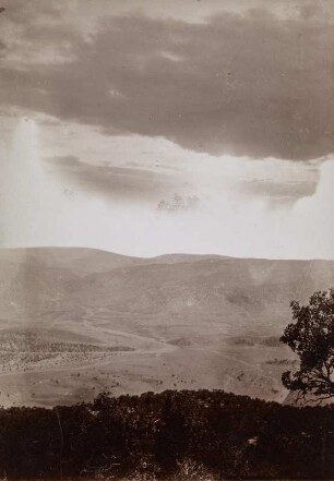 Bewaldeter Berghang : Bergwald an einem Hang im Zagros-Gebirge.