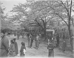 Hanami : Männer und Frauen unter blühenden Kirschbäumen