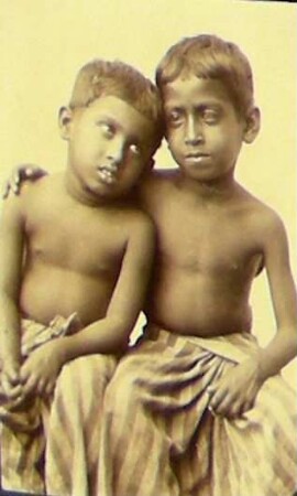 Singhalesen der Carl Hagenbeck'schen Ceylon Expedition