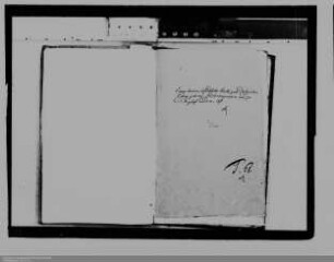 Auseinandersetzungen zwischen Einwohnern des Kurfürstentums Trier und der Grafschaft Nassau