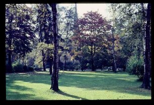 Ohlsdorfer Friedhof 12.10.63.