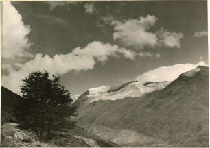 Alpenpanorama