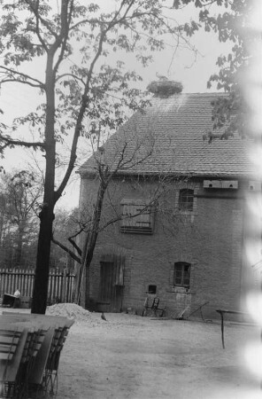 Storch : Ein Storchennest auf einem Gehöftdach