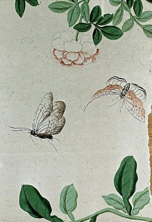 Tapeten mit Chinoiserien