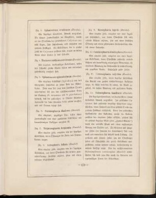 Abbildungsbeschreibung [Taf. 51 - 60]