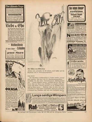 "Die Affen von Gibraltar"