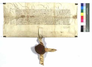 Maximilian, römischer König, belehnt Ulrich Burggraf von Burtenbach (Burttembach) mit dem Blutbann zu Burtenbach.