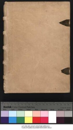 Petrus de Vinea