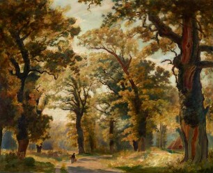 Waldweg