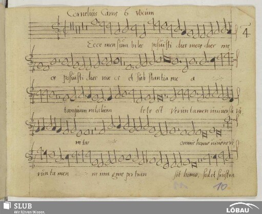 Canis, Cornelius: Ecce mensurabiles posuisti