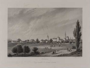 Züllichau [Sulechów]: Stadtansicht von Nordosten (Brandenburgisches Album, Blatt 39)