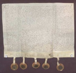 Instrumentum probationis des Kaspar Stephan Spies von Büllesheim zu Schimpern.