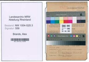 Entnazifizierung Alex Brands , geb. 16.12.1895 (Polsterer)