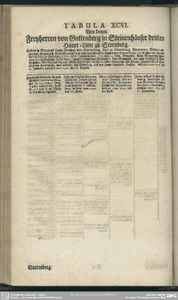 Tabula XCVI. Von denen Freyherren von Guttenberg in Steinenhäuser dritten Haupt-Linie zu Sternberg