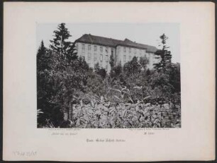 Tann: Gelbes Schloß (Westseite).